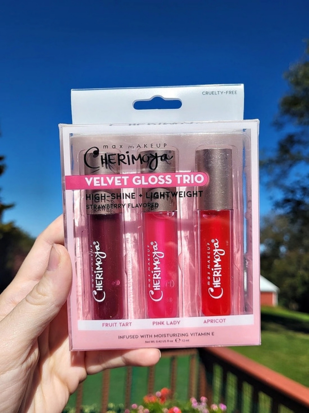 Cherimoya Velvet Gloss Trio Lip Gloss Trio Pink NWT Strawberry